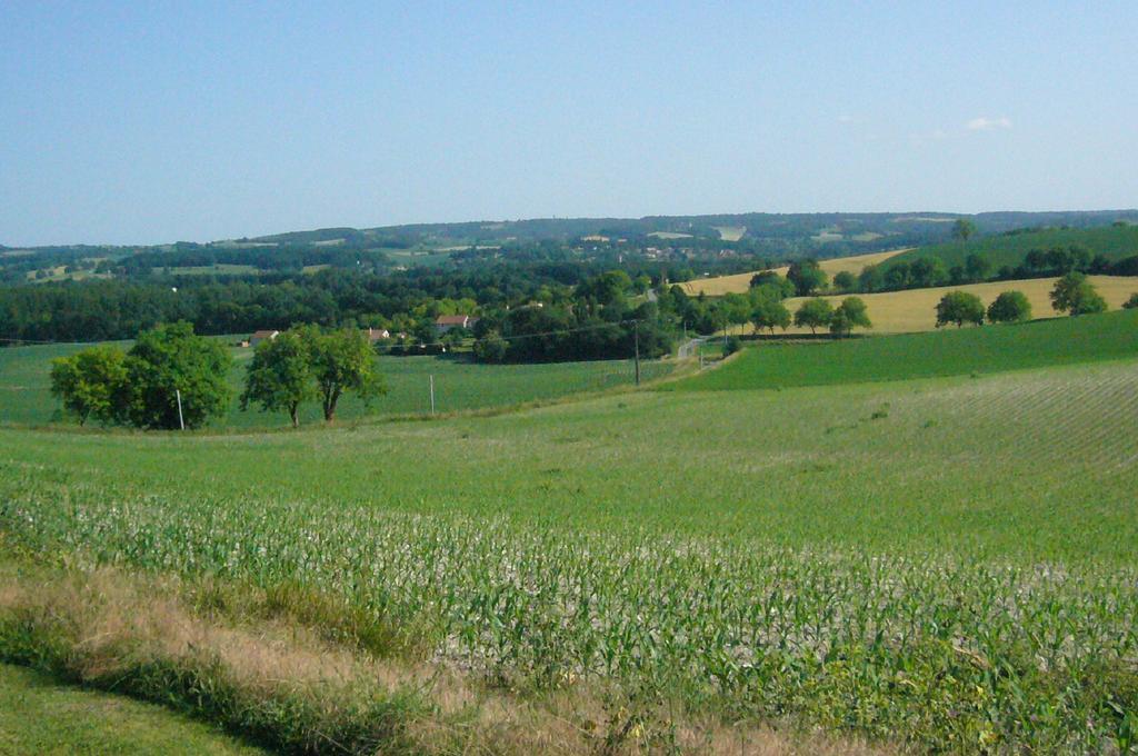 Les Gites De La Treille Montagrier Exterior foto